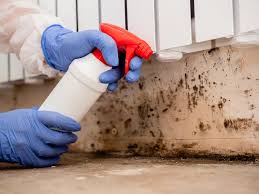 Biohazard Mold Removal in Mission, KS